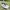 Nike Dualtone Racer Woven photo 2