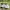 Nike Dualtone Racer Woven photo 1
