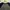 Polham Casual Sweatshirt Pria Navy Gray