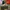 new balance 1906r photo 1