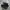CONVERSE CHUCK TAYLOR ALL STAR MONO BLACK Low FULL OX