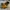 Timberland Boots 6 Inch Yellow Brown 7 Hole photo 2