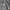 Kemeja formal plain sage long sleeve  photo 3