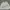 White Top Brand ANAIN