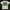 PLEASURES FRAGILE TEE