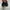 CONVERSE CHUCK TAYLOR ALL STAR MONO BLACK Low FULL OX photo 4
