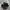 CONVERSE CHUCK TAYLOR ALL STAR MONO BLACK Low FULL OX