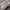 AEROSTREET AURORA WHITE SIZE 39  photo 1
