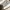 converse chuck taylor all star grey photo 2