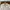 [L-XL] Polo Ralph Lauren Most Wanted Colour Beige Half Zippe photo 2