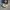 Converse 70s Hi x CDG White photo 1