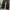 BLACK WASH JEANS MUSINSA STANDARD BAGGY FIT SECOND ORIGINAL photo 6
