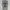 Vintage Streetwear T-shirt Pria gray photo 1
