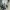 Adidas Boston 12 size 45 1/2 photo 2