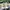 Adidas Boston 12 size 45 1/2 photo 5