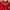 Adidas Bayern Munchen T Shirt photo 3