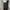 BLACK JEANS KING STOOL BAGGY FIT SECOND ORIGINAL photo 3