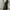 BLACK JEANS KING STOOL BAGGY FIT SECOND ORIGINAL photo 2
