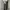 GREY JEANS S-BIN BAGGY FIT UNFINISHED SECOND ORIGINAL