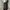 BLACK JEANS BLACKUP BOOTCUT FIT SECOND ORIGINAL photo 3