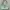bershka tosca bag photo 1