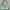 Bershka Tosca Bag