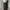 BLACK JEANS NII SLIM FIT SECOND ORIGINAL photo 3