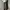 GREY JEANS JAJU REGULAR FIT SECOND ORIGINAL photo 3