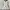 White Tank Vest Posha Oversized Rompi Wanita Putih photo 2
