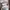 Sneakers Nike Ebernon Low Triple White  photo 1