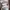 Sneakers Nike Ebernon Low Triple White  photo 3