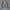 BLAZER DESIGN UNITED  photo 3