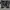 Converse Chuck Taylor All Star 70s photo 3