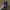 DYSON VAKUM Kondisi Sesuai Foto - No Refund No Return photo 6