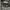 Jacket US Army APFU (Army Physical Fitnes Uniform) photo 6