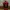 DEADPOOL TUMBLR Kondisi Sesuai Foto - No Refund No Return photo 3