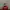 DEADPOOL TUMBLR Kondisi Sesuai Foto - No Refund No Return