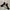 BE•BOB Dark Green High Heels photo 5