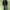 Adidas Streetwear Sportswear Windbreaker Pria black photo 2