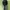 Adidas Streetwear Sportswear Windbreaker Pria Black