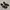 STEVE MADDEN Floral High Heels photo 1