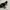 ROTELLI Black High Heels photo 4