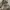 CHARLES & KEITH Nude Open toe High Heels photo 2