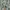 Calvin Klein Casual Casual trouser Wanita multicolor photo 4