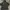Militeri Back Number photo 5