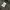 Militeri Back Number photo 2