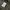 Militeri Back Number