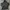 Militeri Back Number photo 1