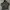 Militeri Back Number