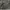 Militeri Back Number photo 4